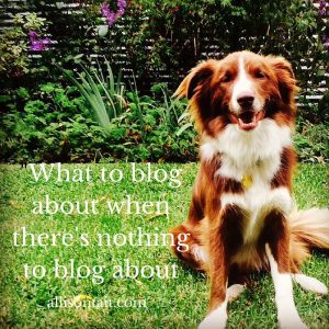 what to blog about when there's nothing to blog about